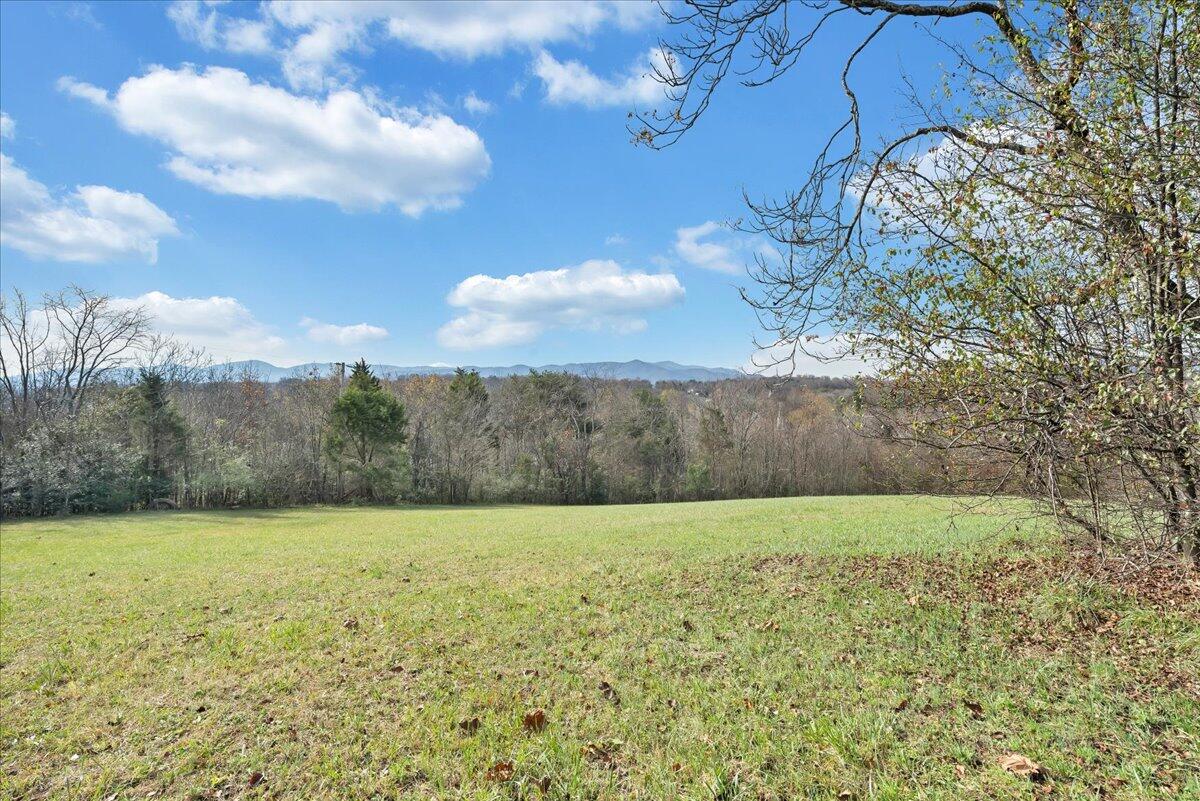 0 Green Ridge Road Roanoke, VA 24019 - Photo 7 of 43 06-MIB08859