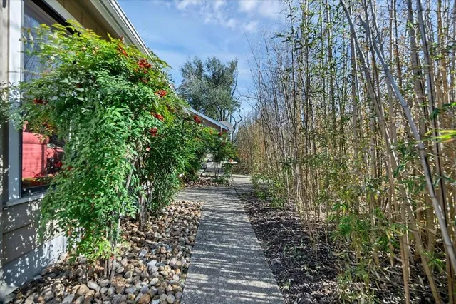 a view of a pathway both side of the house