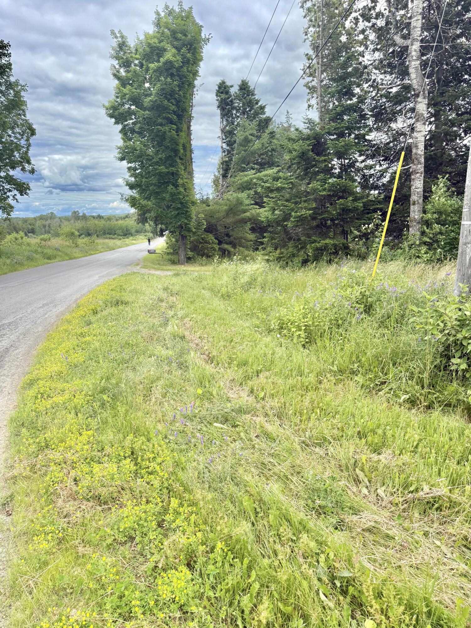 M4-l8 Conroy Road Perham, ME 04766 - Photo 11 of 12 IMG_5961