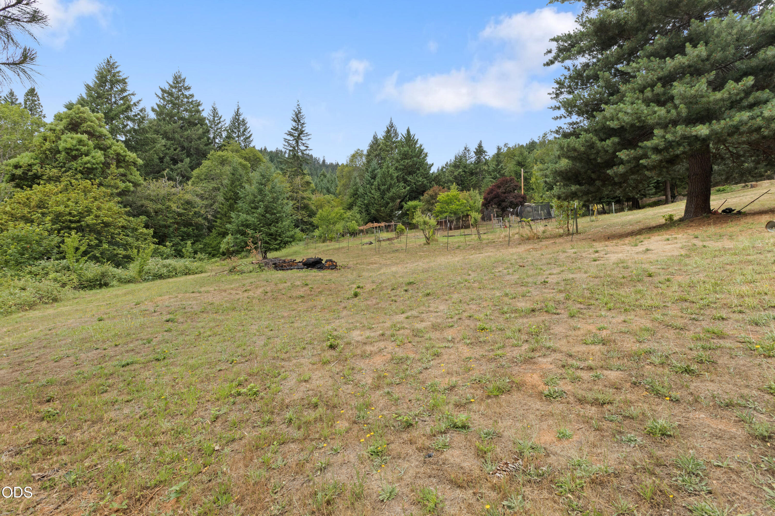 484 Brimstone Road Wolf Creek, OR 97497 - Photo 7 of 48