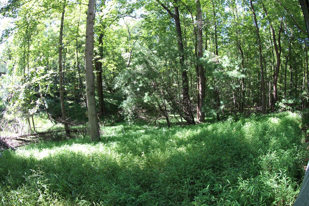 374 Dillons Fork Road Fieldale, VA 24089 - Photo 40 of 41 Gallery Image 40