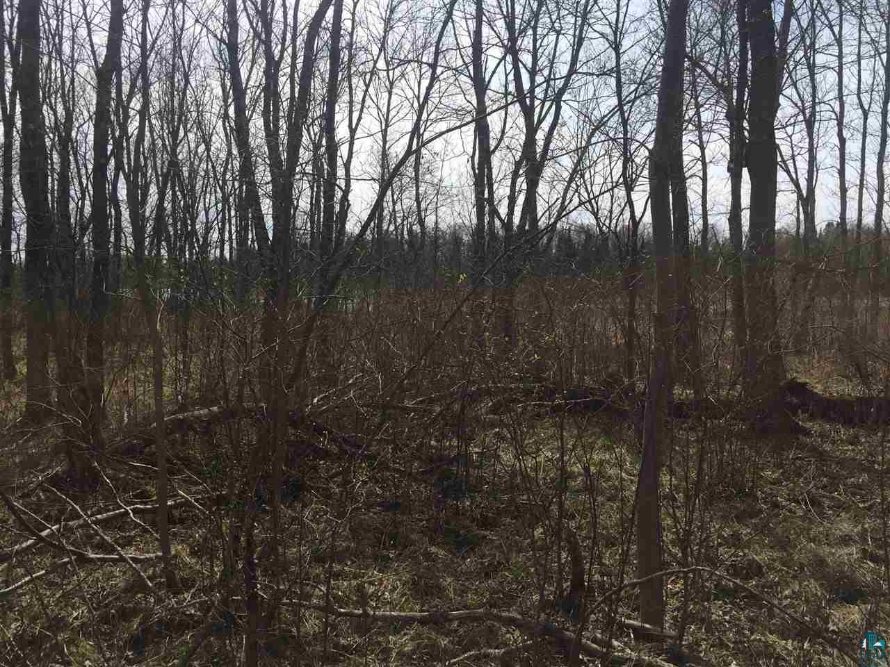 Lot 7 St Croix Road Gordon, WI 54838 - Photo 5 of 9