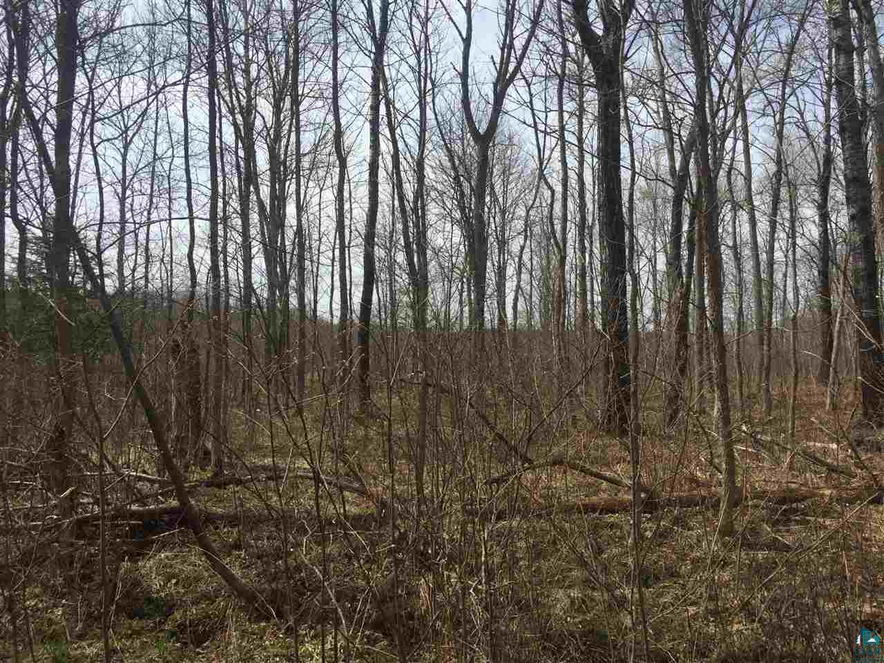 Lot 7 St Croix Road Gordon, WI 54838 - Photo 6 of 9
