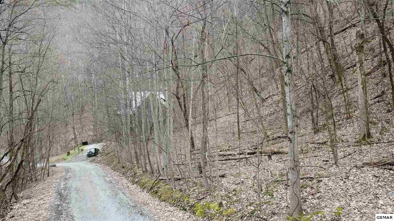 28 Wolf Way Sevierville, TN 37862 - Photo 1 of 7