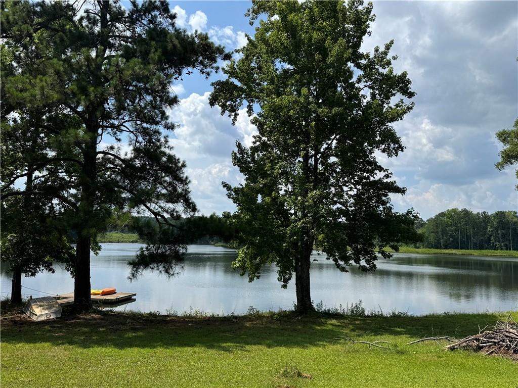 1189 Iris Lake Road McDonough, GA 30252 - Photo 9 of 38