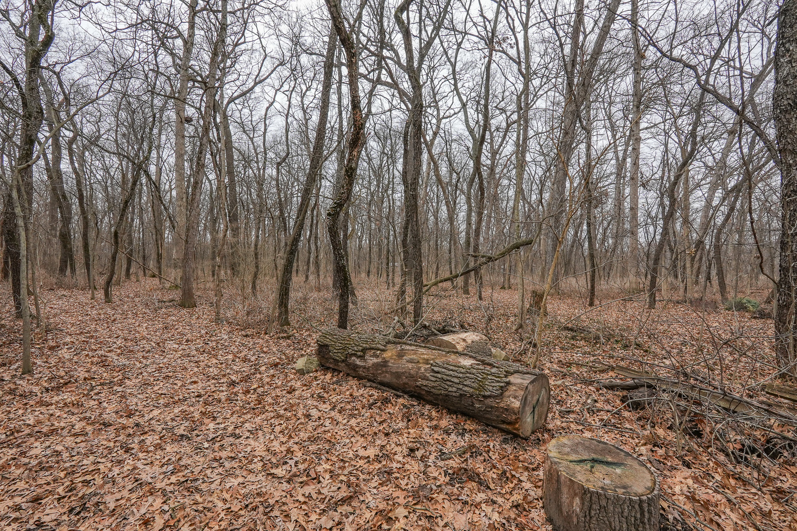 2821 Shadow Road Momence, IL 60954 - Photo 34 of 50 a backyard of a house with lots of green space