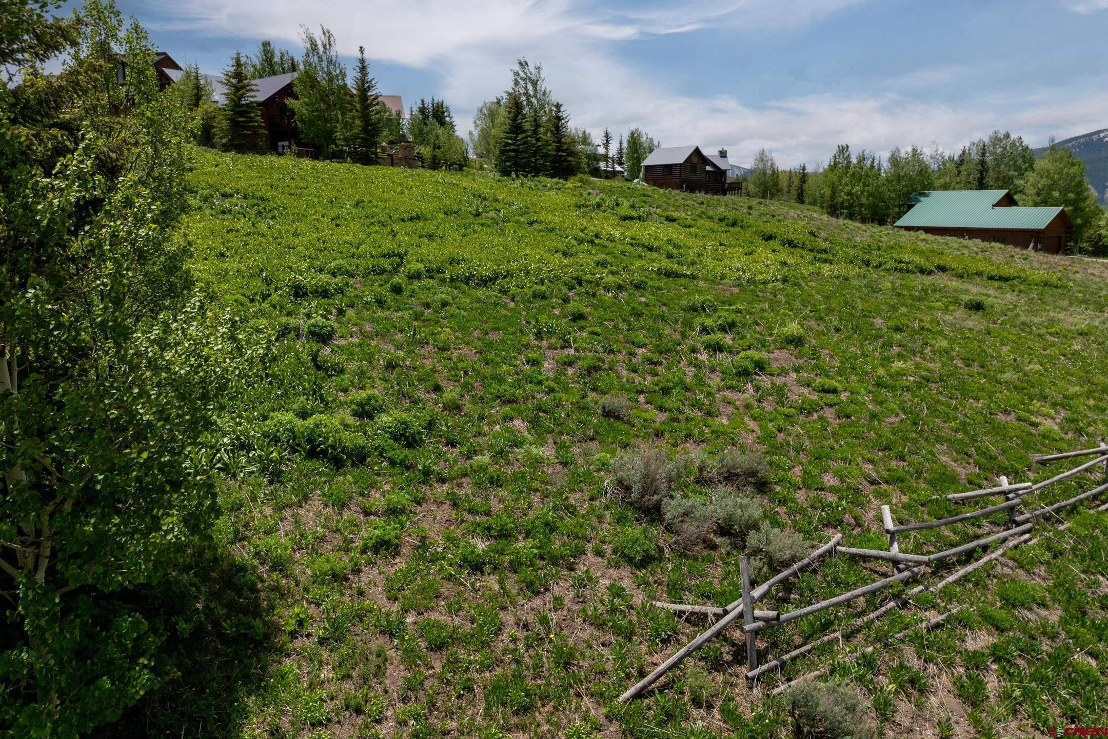 918 Gothic Road Crested Butte, CO 81225 - Photo 4 of 23