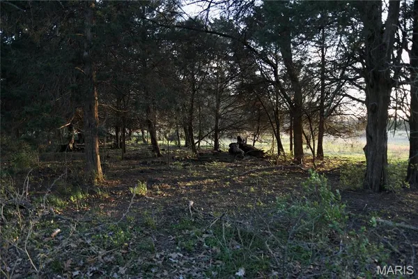 $444,500 | 0 County Road 1900, Cisne, IL 62823