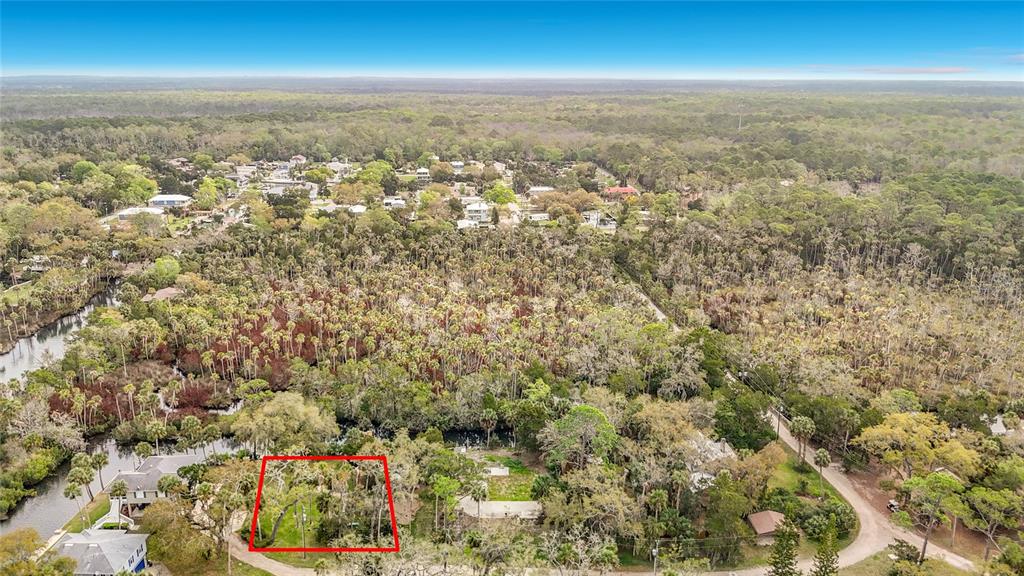 5360 Felker Drive Weeki Wachee, FL 34607 - Photo 4 of 45