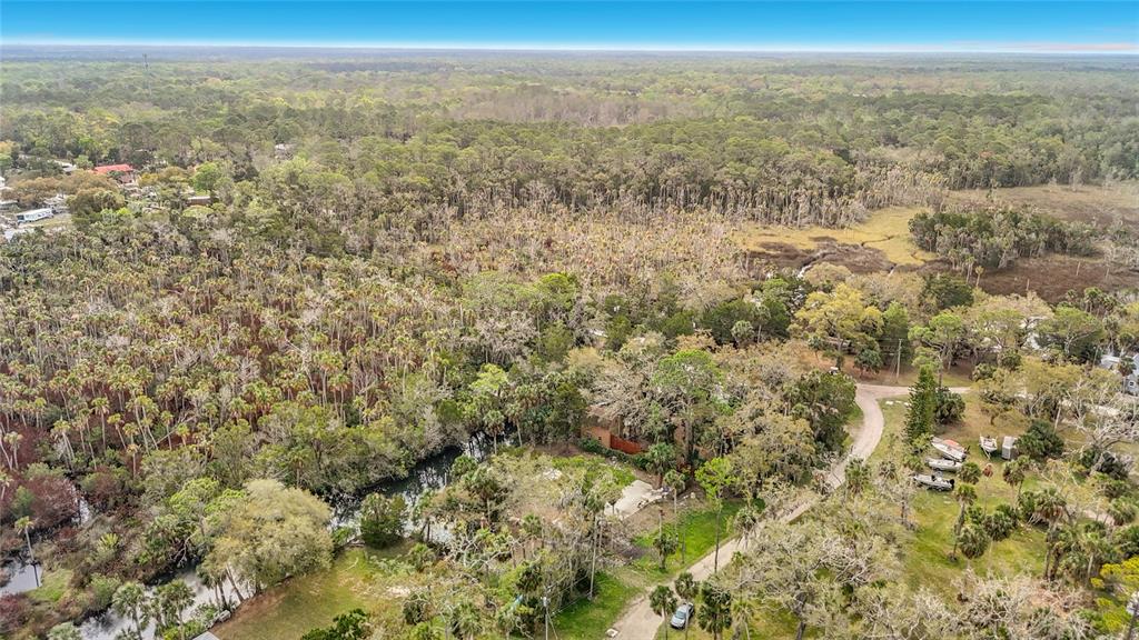 5360 Felker Drive Weeki Wachee, FL 34607 - Photo 6 of 45