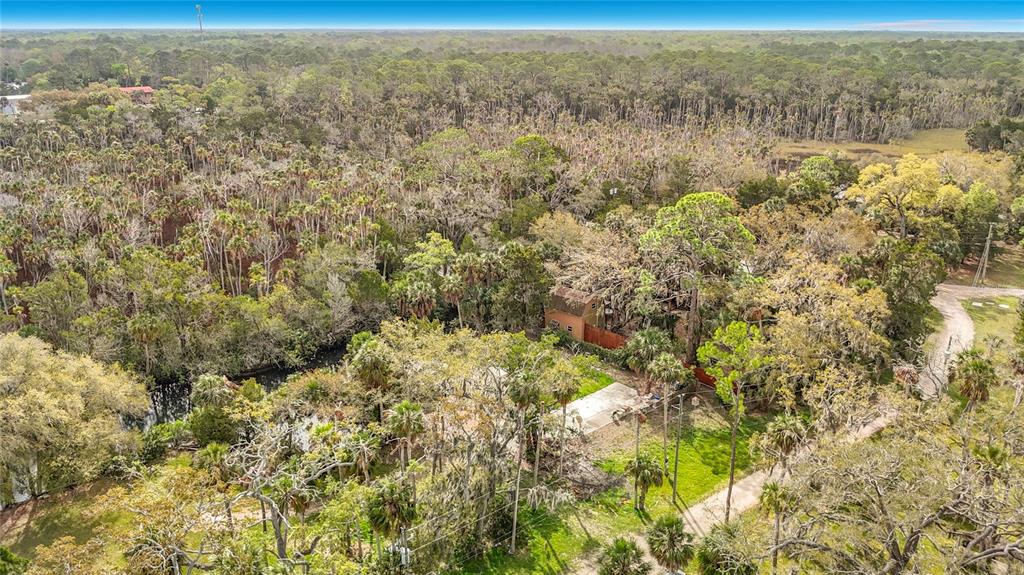 5360 Felker Drive Weeki Wachee, FL 34607 - Photo 9 of 45