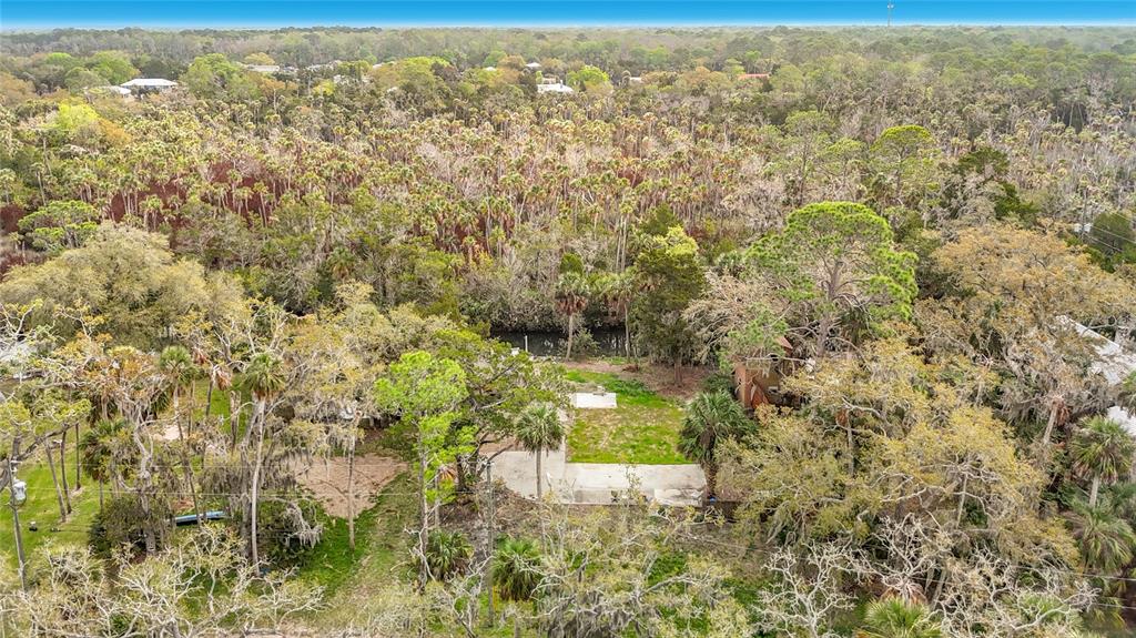 5360 Felker Drive Weeki Wachee, FL 34607 - Photo 10 of 45