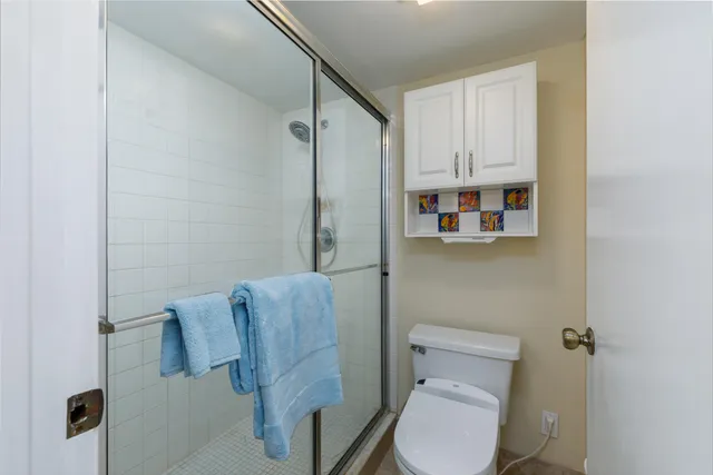 a bathroom with a toilet and a shower
