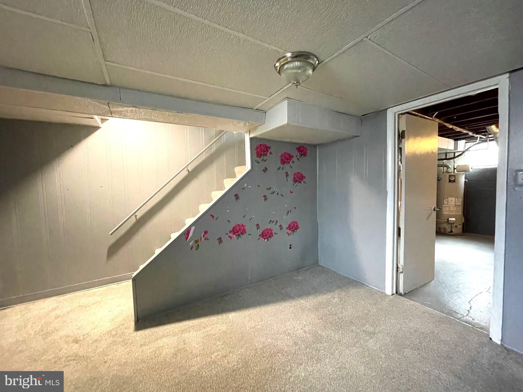 4103 Colborne Road Baltimore, MD 21229 - Photo 20 of 28 Basement