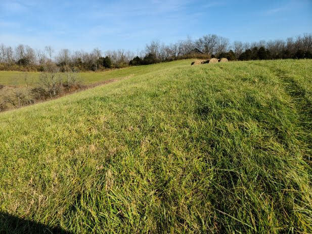 1 Owenton Road Corinth, KY 41010 - Photo 7 of 7