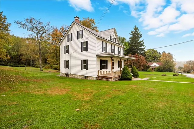 a view of a backyard with plants and large trees