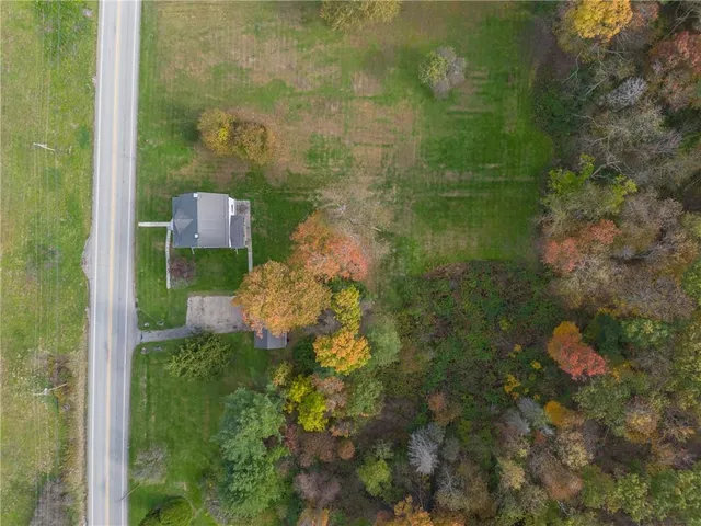 a view of a garden from a bench