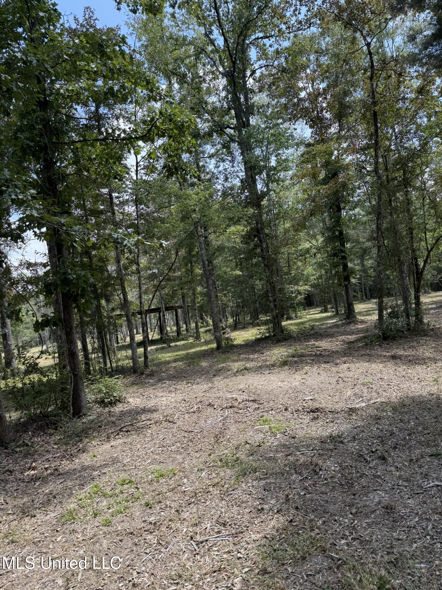 400 B New Hope Road Wiggins, MS 39577 - Photo 12 of 19 Cleared area