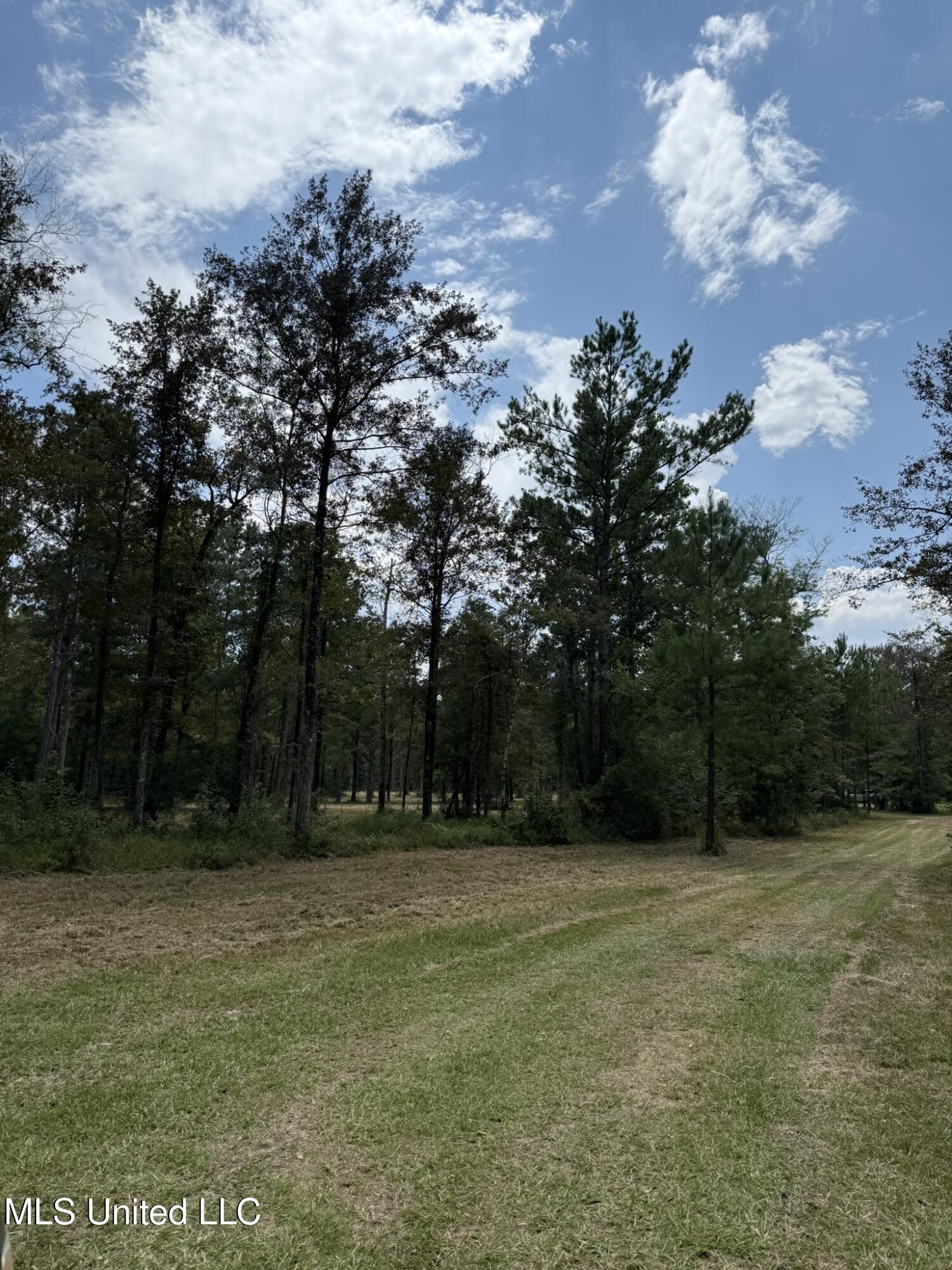 400 B New Hope Road Wiggins, MS 39577 - Photo 13 of 19 Clearing