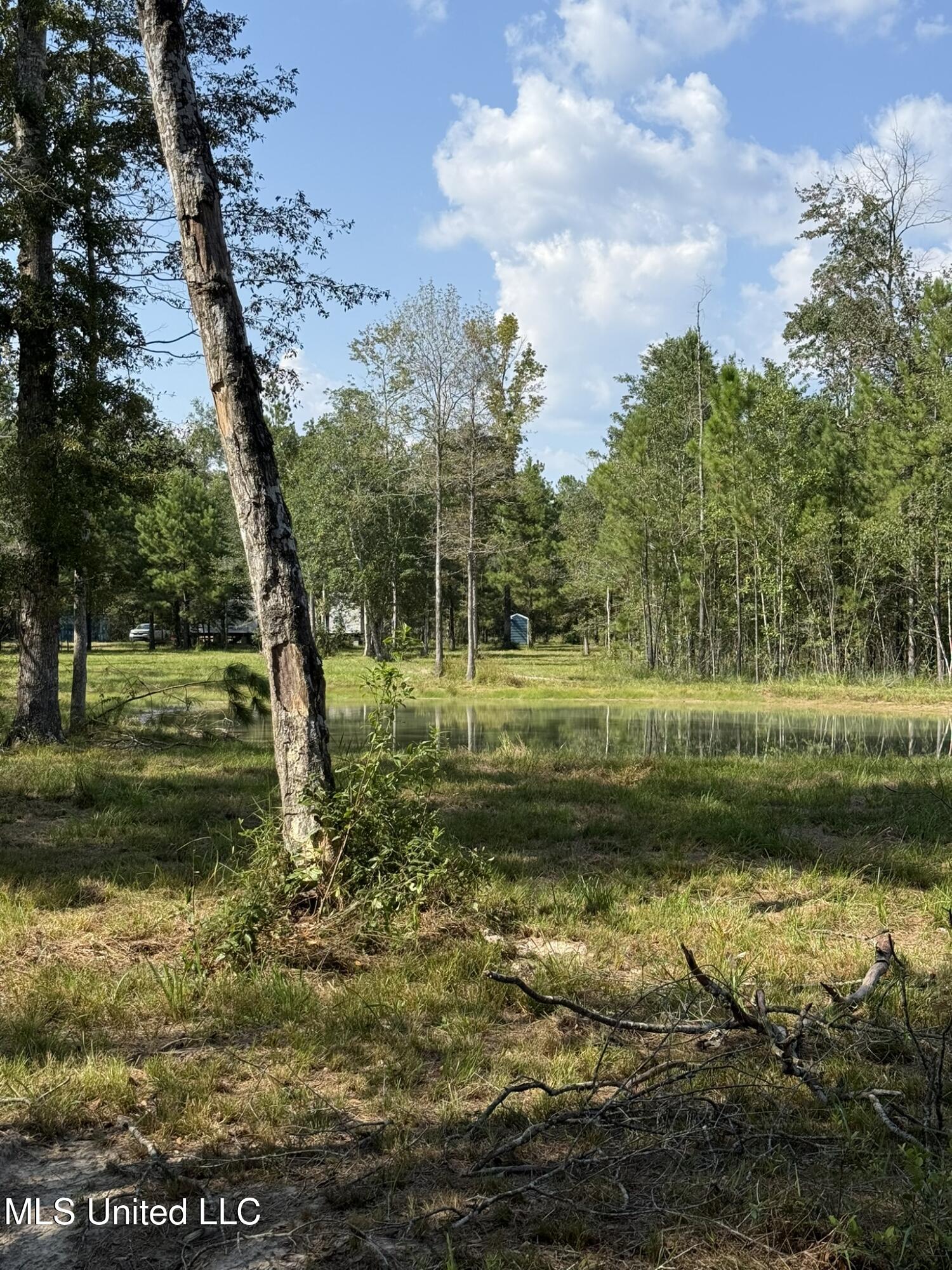 400 B New Hope Road Wiggins, MS 39577 - Photo 3 of 19 FIeld