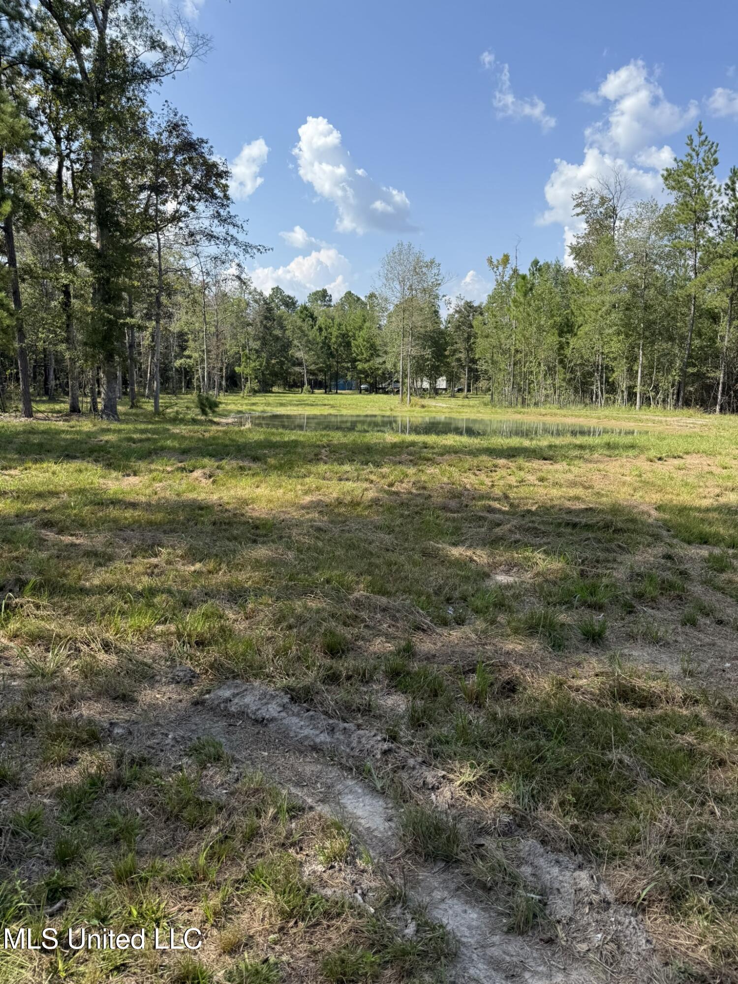 400 B New Hope Road Wiggins, MS 39577 - Photo 4 of 19 Field