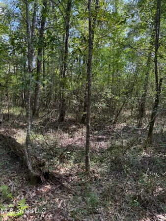 $299,000 | 400 B New Hope Road, Wiggins, MS 39577