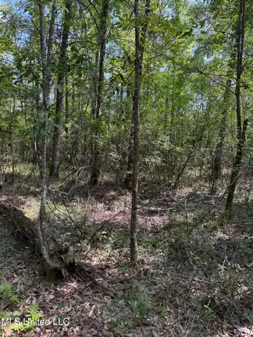 $299,000 | 400 B New Hope Road, Wiggins, MS 39577