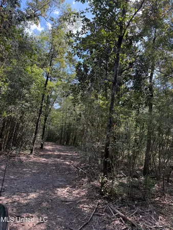 $299,000 | 400 B New Hope Road, Wiggins, MS 39577