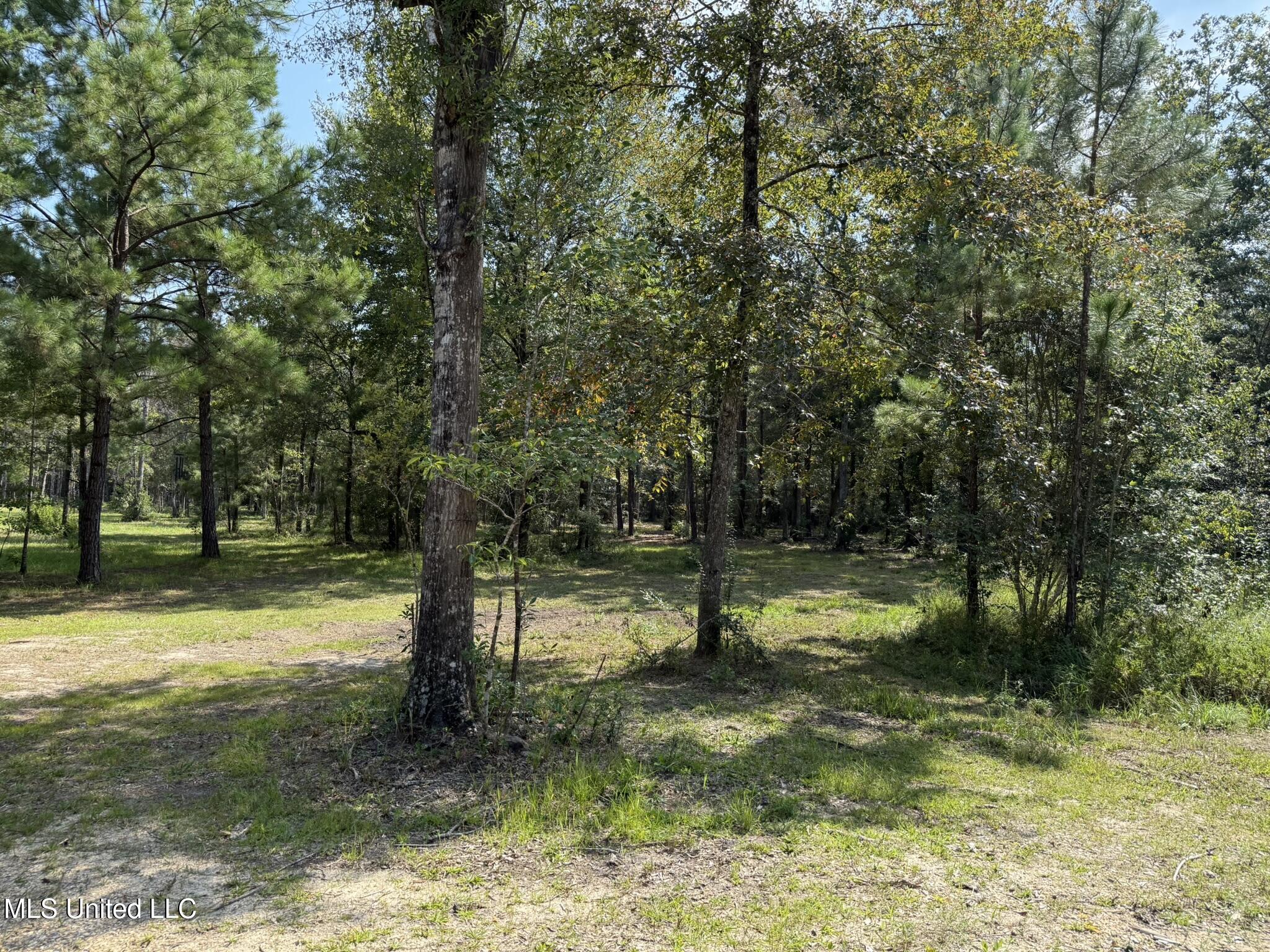 400 B New Hope Road Wiggins, MS 39577 - Photo 9 of 19 Cleared area