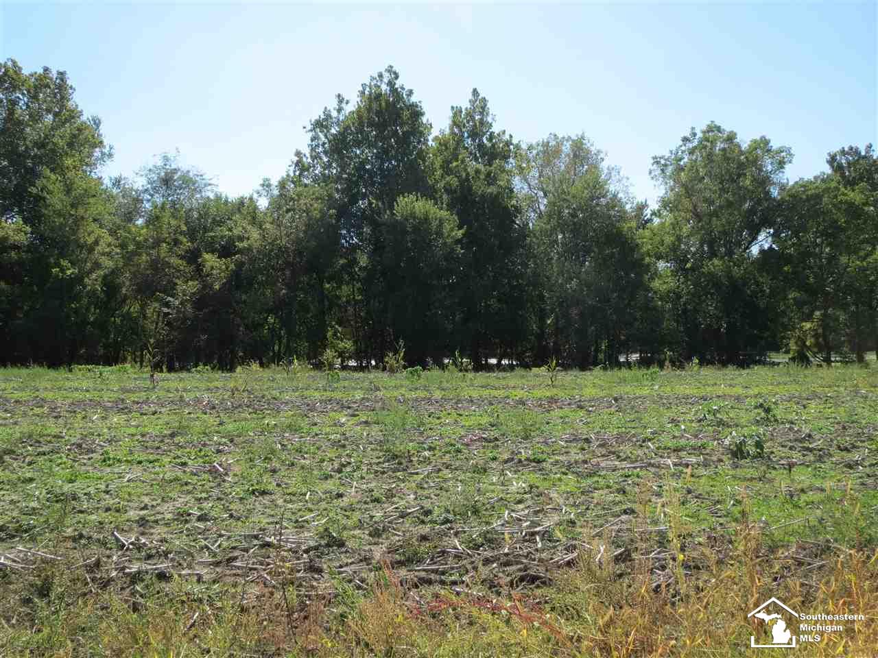 0 North Custer Road Monroe, MI 48162 - Photo 3 of 3