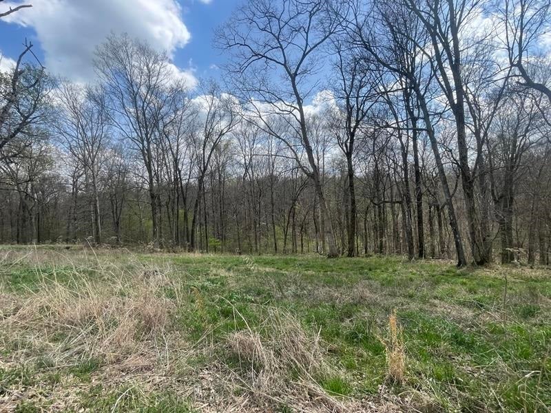 2375 Antioch Church Road Alvaton, KY 42122 - Photo 19 of 26 Gallery Image 19