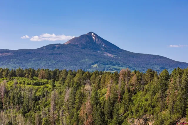a living room with furniture a fireplace and a floor to ceiling window