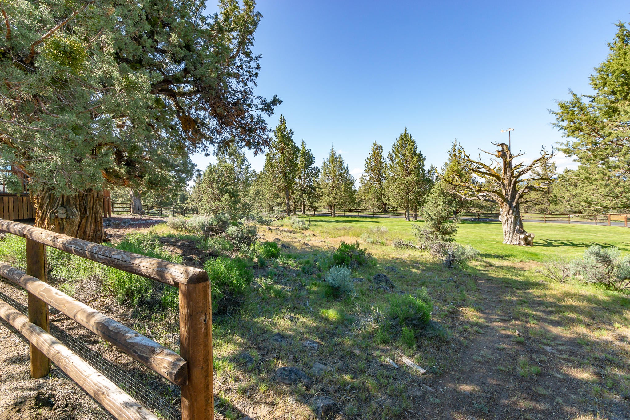 65220 Smokey Ridge Road Bend, OR 97703 - Photo 26 of 39 DSC06226