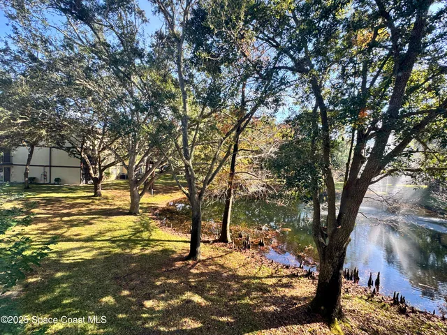a view of a yard with a tree