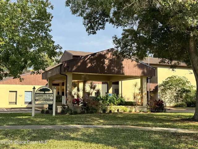 a view of a park that has a large tree