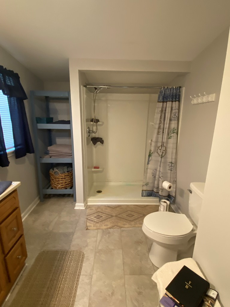 569 Dover Chapel Road Ellijay, GA 30540 - Photo 23 of 32 a bathroom with a sink a toilet and shower