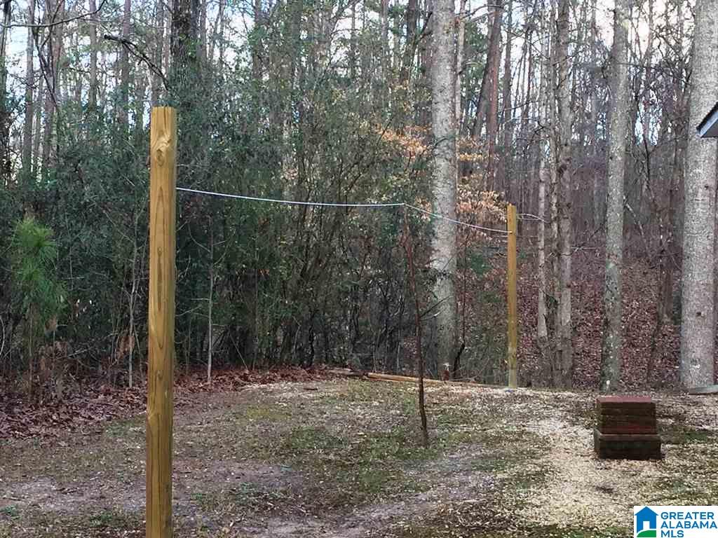 1540 Mountain Top Loop Road Pell City, AL 35128 - Photo 10 of 13