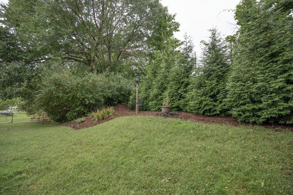 25 Sandy Ridge Road Stoughton, MA 02072 - Photo 41 of 42 a view of backyard with green space