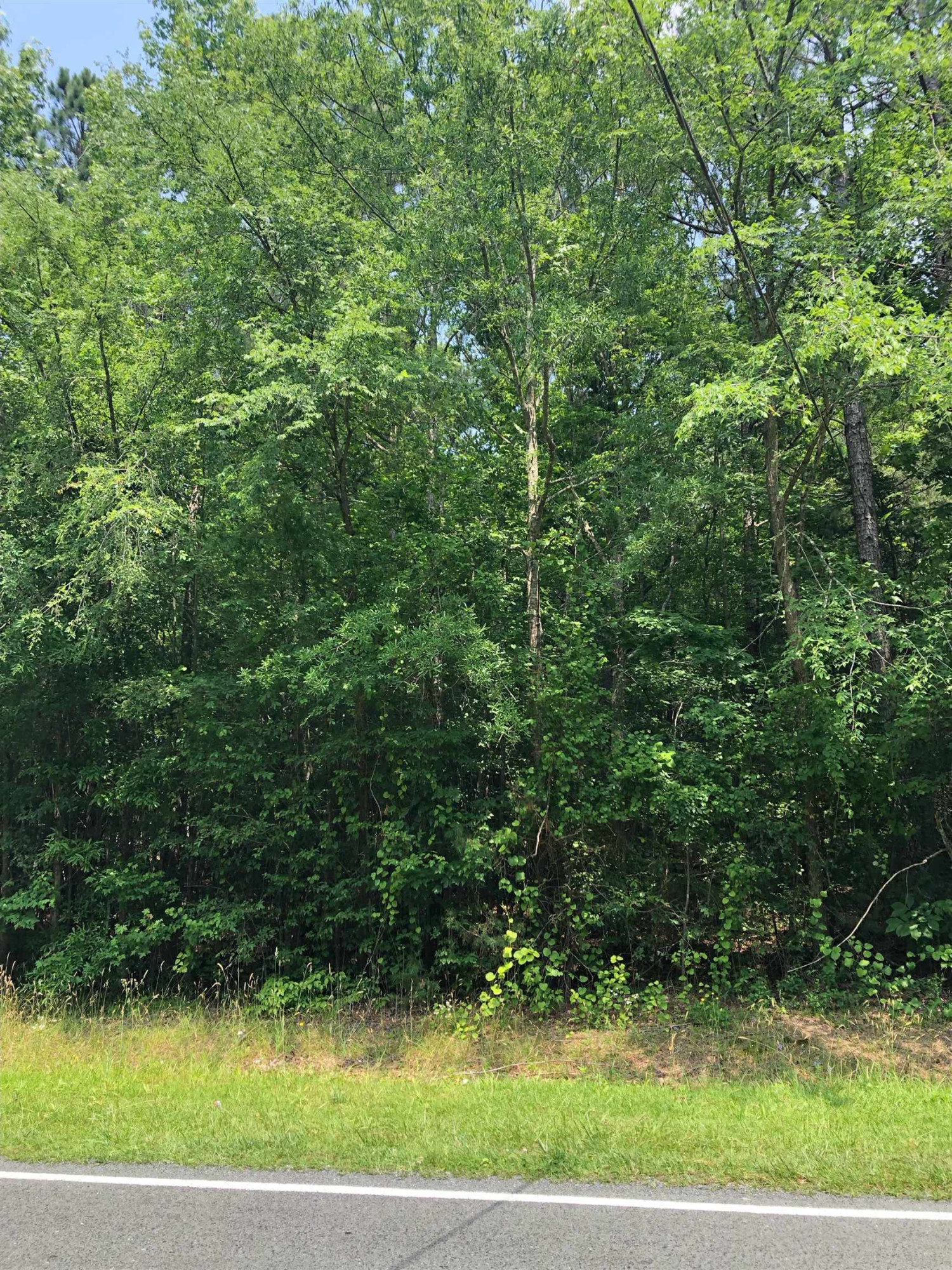 0 Pulliam-tingen Pulliam-Tingen Mine Road Roxboro, NC 27574 - Photo 4 of 5 a view of a yard