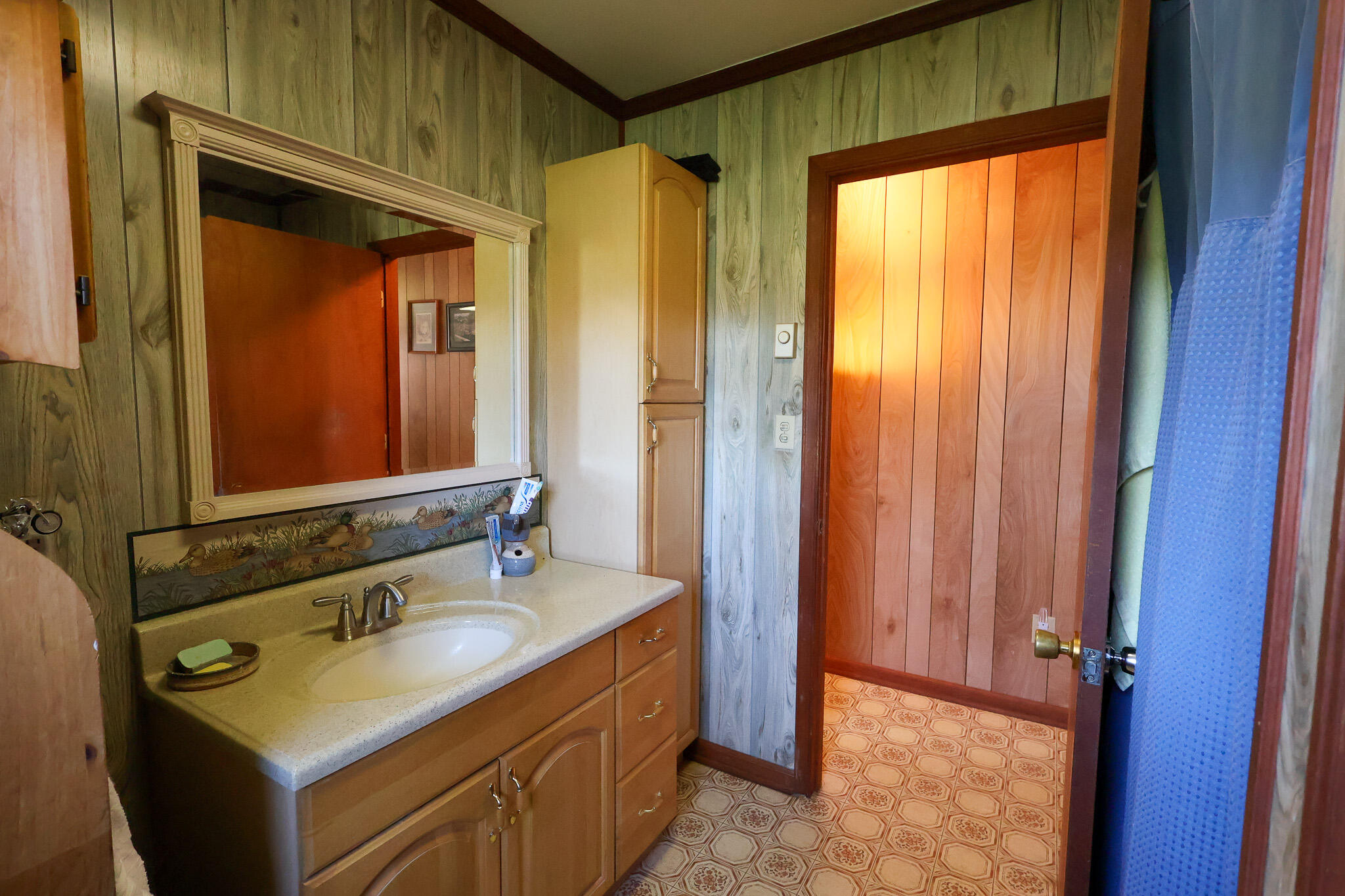 3742 Paint Bank Road New Castle, VA 24127 - Photo 13 of 25 IMG_0049