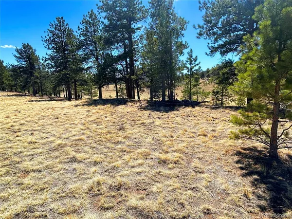 $139,500 | Singletree Road, Hartsel, CO 80449