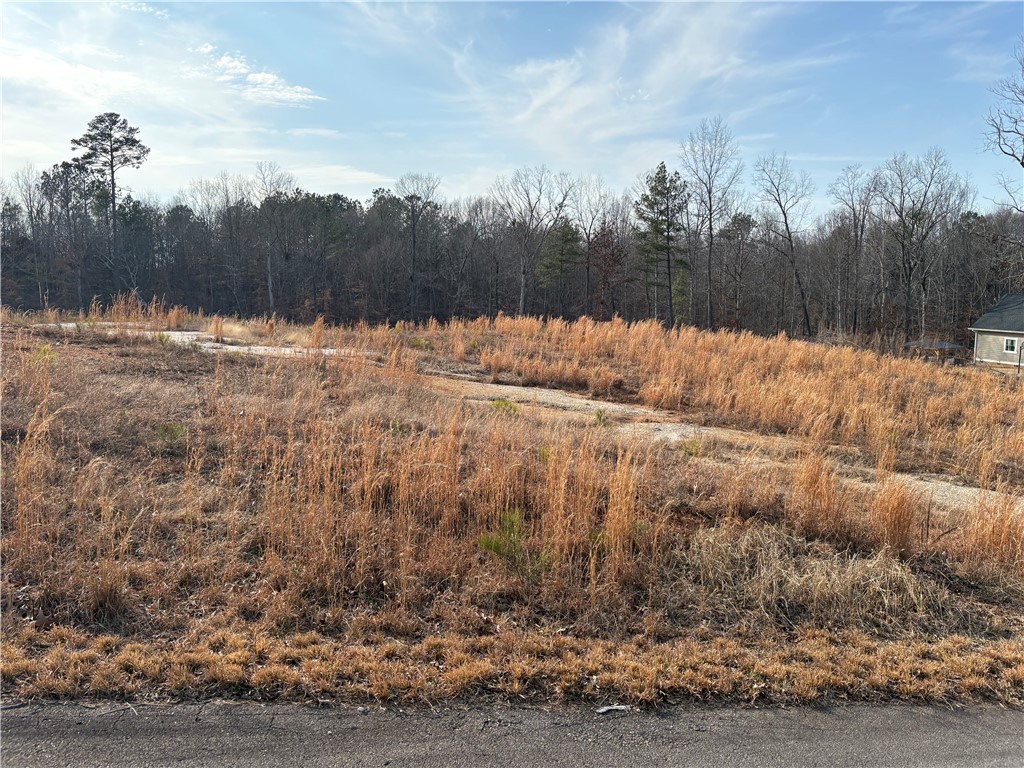 540 Paramount Drive Seneca, SC 29678 - Photo 1 of 4 Already cleared lot.