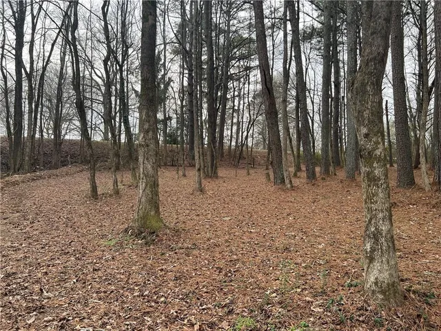 $180,000 | 163 Bryant Road, Summerville, GA 30747