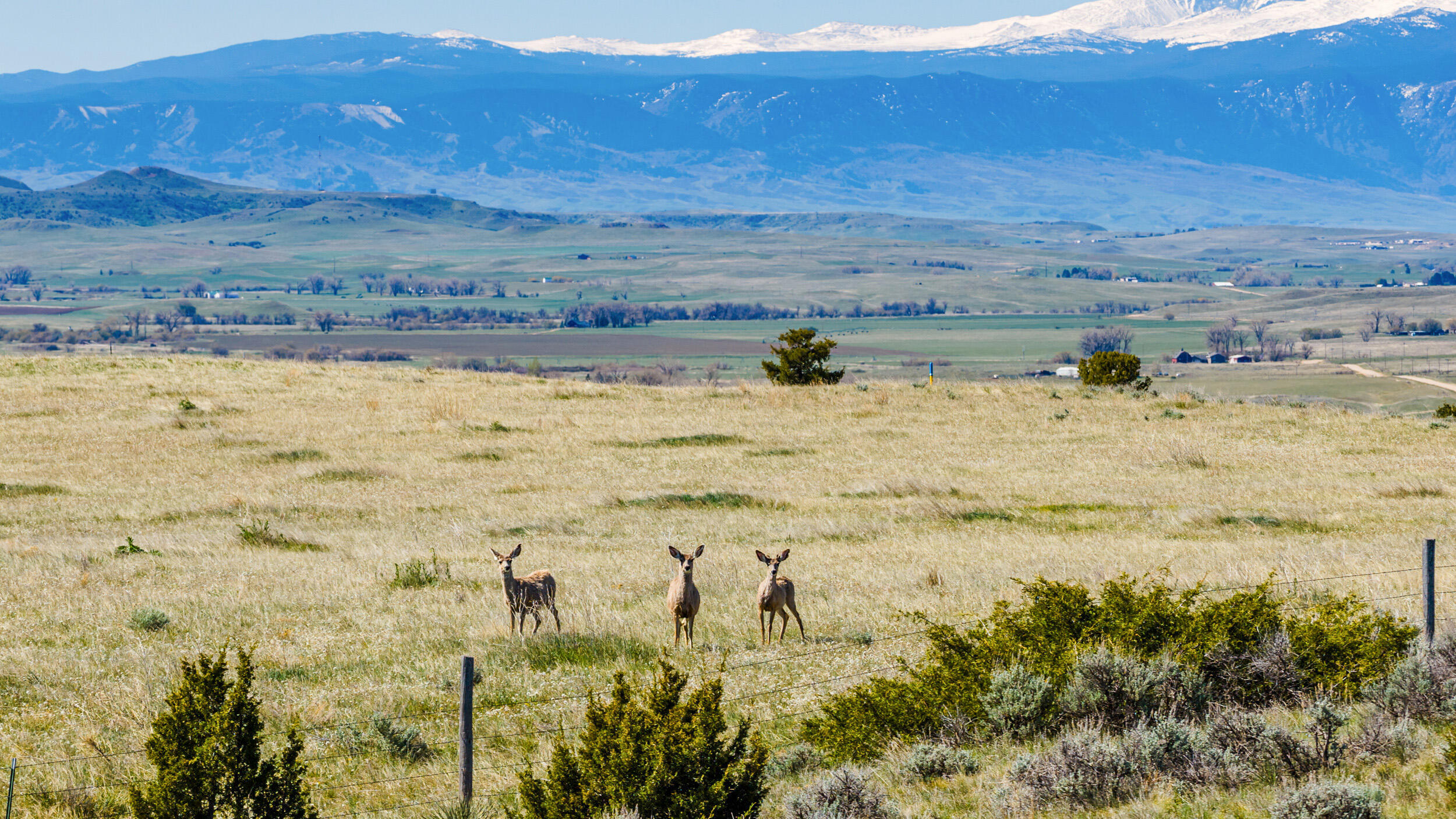 593 Lower Prairie Dog Road Sheridan, WY 82801 - Photo 78 of 142 593 lower praire dog 22