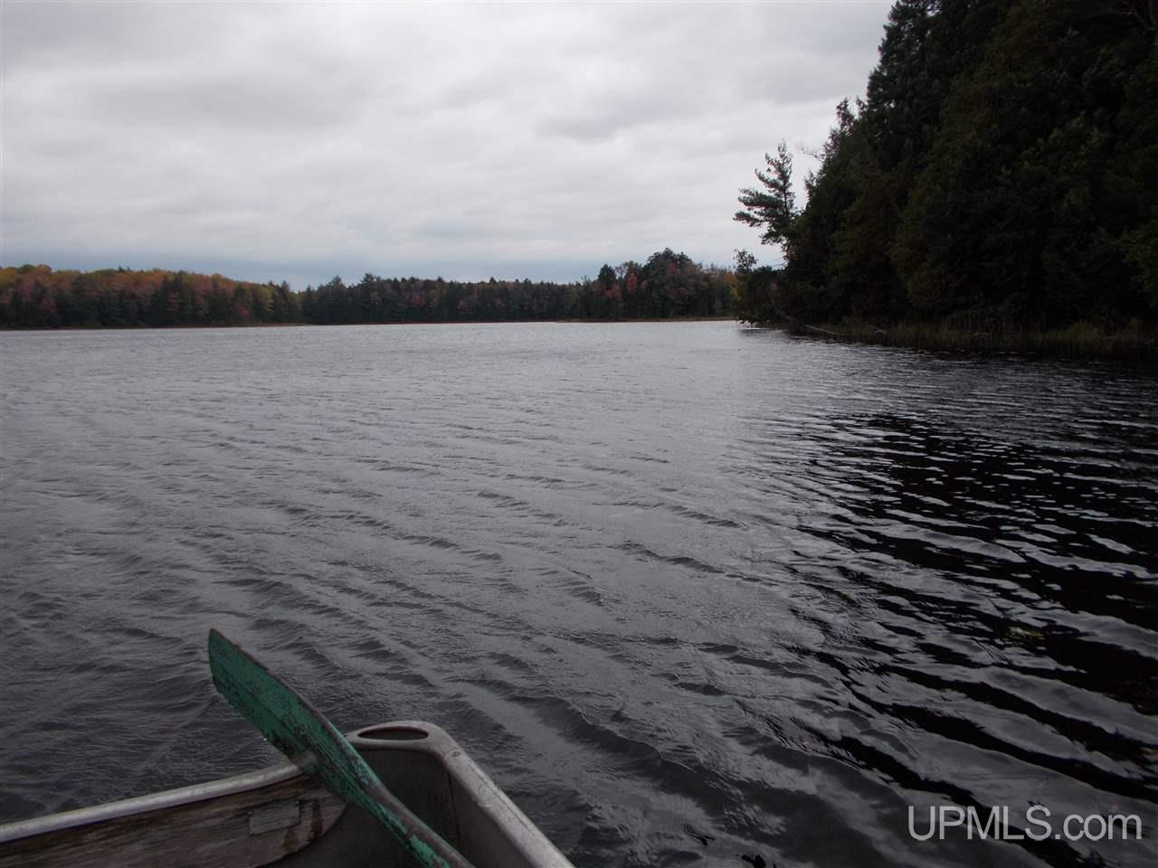 Clark Lake Jack Spurr Road Wakefield, MI 49968 - Photo 10 of 20