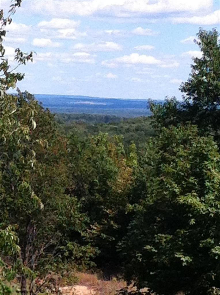 Lumley Road Bear Lake, MI 49614 - Photo 11 of 19 Additional Photo