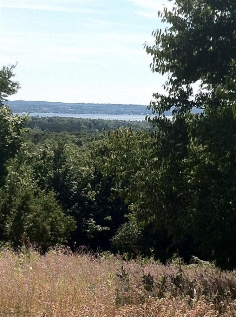 Lumley Road Bear Lake, MI 49614 - Photo 17 of 19 Additional Photo