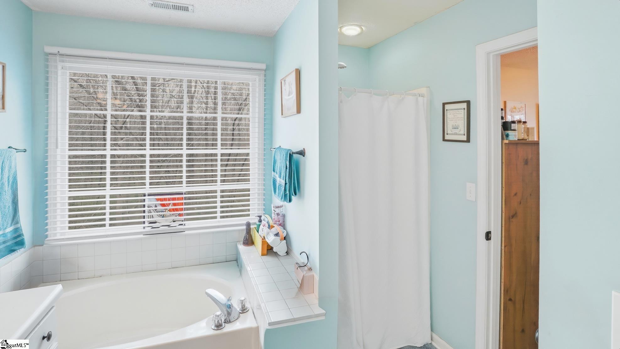 308 Fireside Court Boiling Springs, SC 29316 - Photo 21 of 21