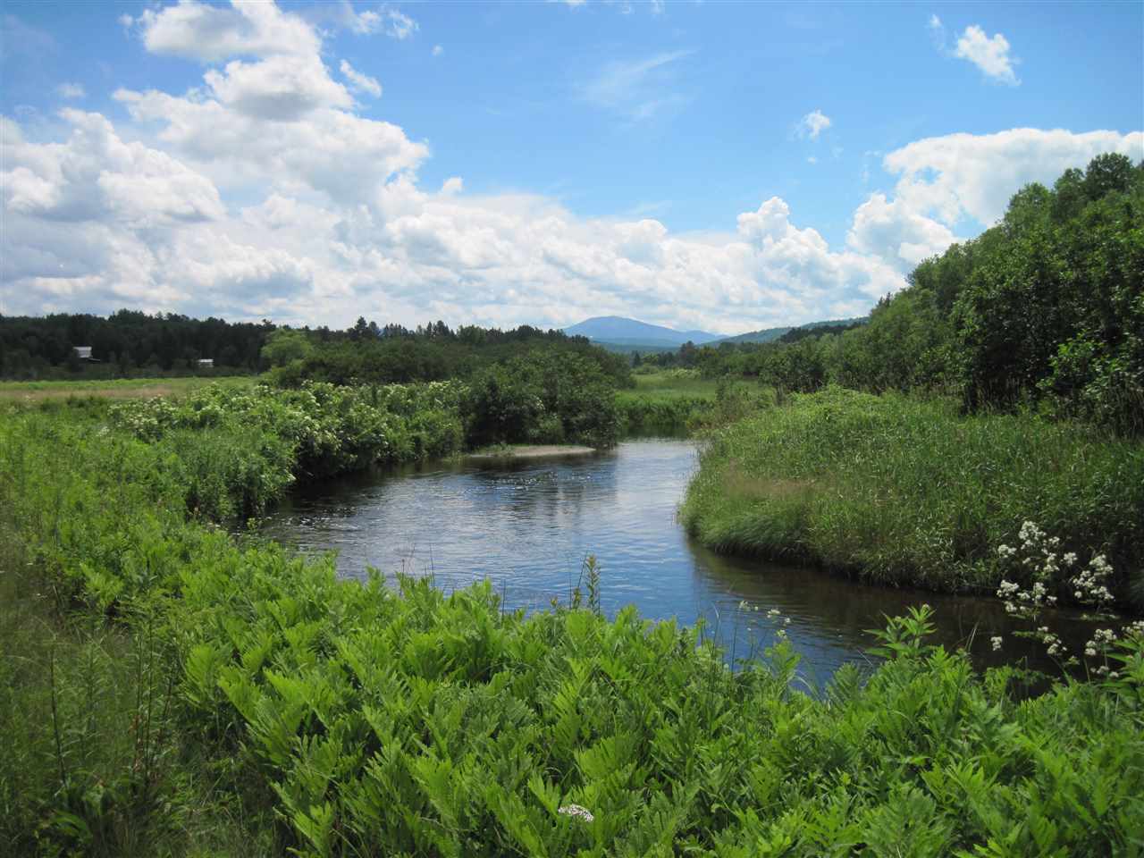 White Road Dalton, NH 03598 - Photo 1 of 26
