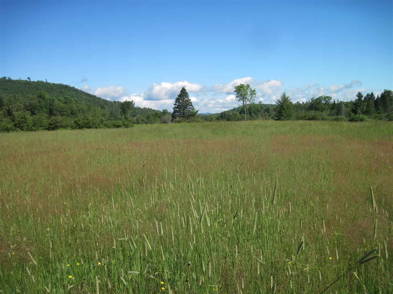 White Road Dalton, NH 03598 - Photo 3 of 26